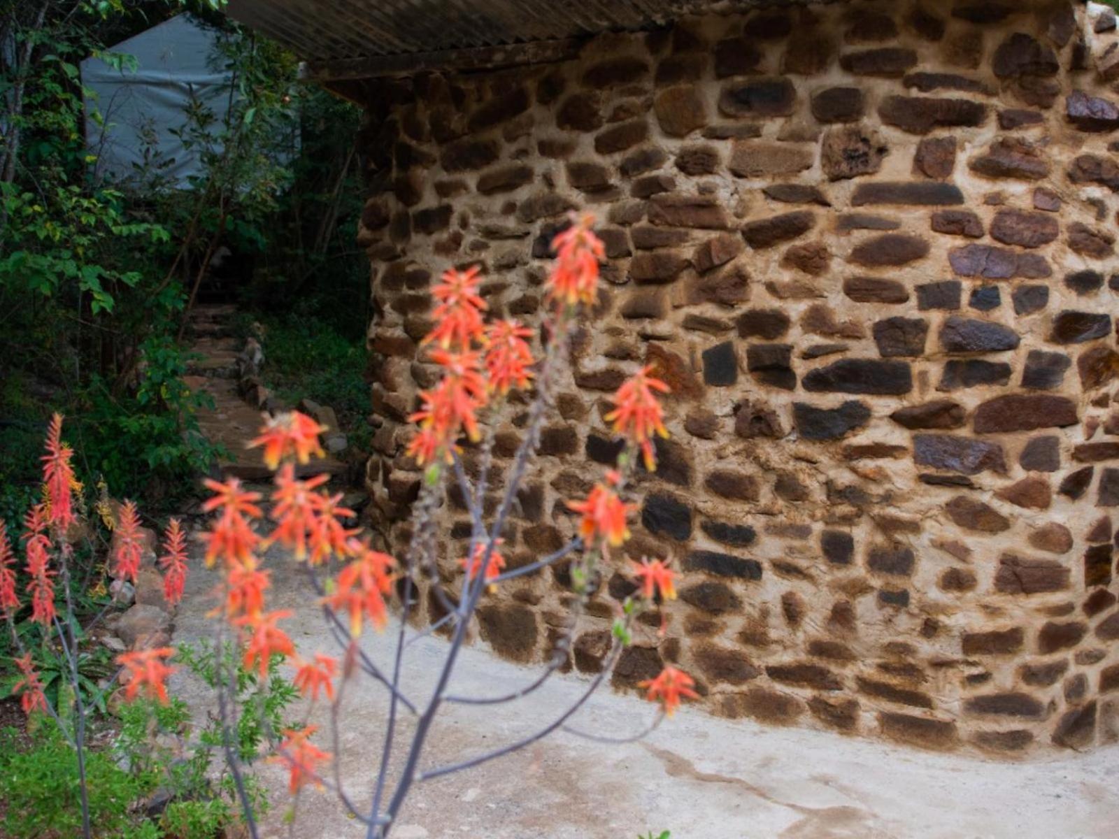 Riverbed Africa Lydenburg Exterior foto