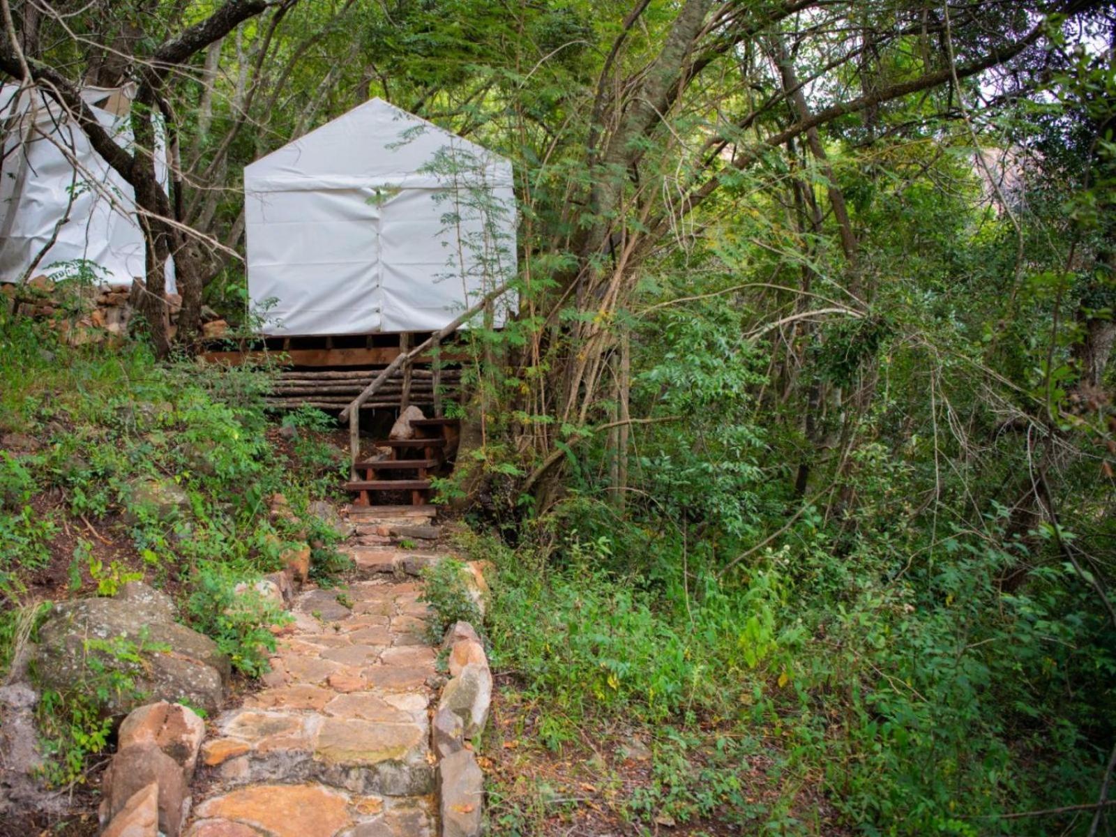 Riverbed Africa Lydenburg Zimmer foto